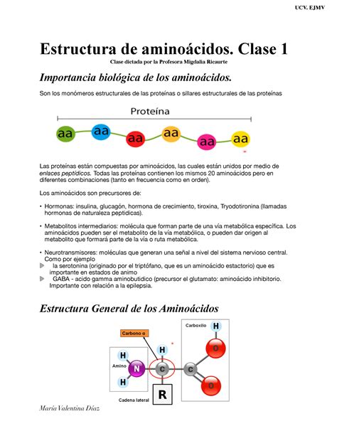 aminoacidos unidad ii complete estructura de aminoacidos clase