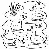 Coloring Pond Pages Animals Ducks Printable Color Animal Nature Duck Supercoloring Drawing Print Crafts Select Category Kids Cartoons Clipart Fun sketch template