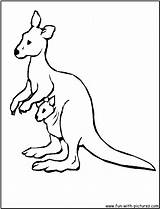 Kangaroo Coloring Pages Australian Animals Colouring Kids Color Clipart Wallabies Printable Print Drawing Cute Joey Getcolorings Getdrawings Cartoon Sheets Clipground sketch template