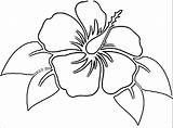 Hibiscus sketch template