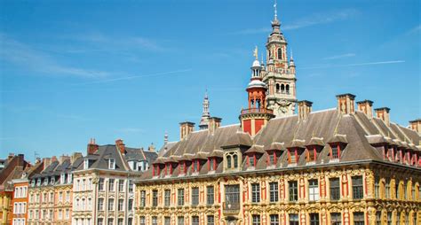 fun facts  lille discovering  quirky side  northern