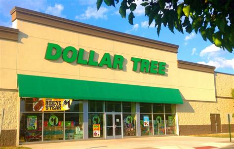 items    buy  dollar tree