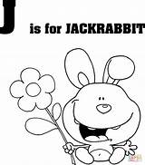 Coloring Letter Pages Jack Jackrabbit Rabbit Printable Jaguar Letters 71kb 1029 Kids sketch template