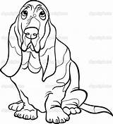 Hound Basset Illustration Kolorowanka Ausmalbilder Hunden Bassett Dogs Effortfulg Purebred Dessin Maluchy Getdrawings Designlooter Drukuj sketch template