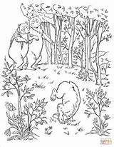 Coloring Bears Three Pages Wood Into Walk Printable Drawing Through sketch template