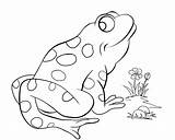 Frog Coloring Pages Tree Red Pond Cute Prince Bullfrog Colouring Eye Eyed Color Comments Flower Printable Coloringhome Getdrawings Leave Flowers sketch template