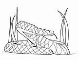 Snake Coloring Pages Printable Kids sketch template