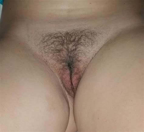 trimmed amateur pussy porn photo eporner