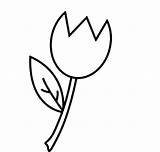Single Flower Coloring Pages Printable Large Tulip Tulips Illustration Color Flowers Stem Getcolorings Print sketch template