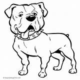 Bulldog Coloring Pages American Face Drawing Dog Bichon Sheet Silhouette Frise Getcolorings Getdrawings Printable Print sketch template