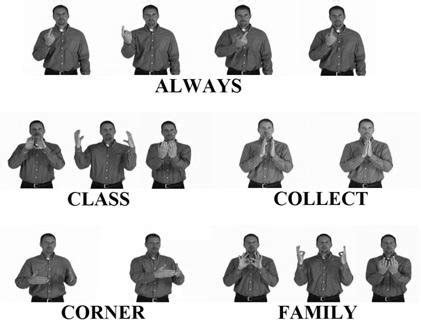 american sign language hand gesture  problems   research