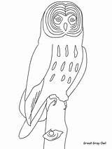 Owl Coloring Great Gray Designlooter Template sketch template