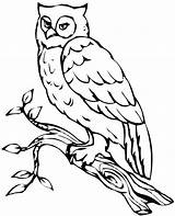 Owl Coloring Pages Snowy Flying Barn Owls Printable Drawing Girls Realistic Colouring Print Getcolorings Sheets Clipartmag Getdrawings Visit Colorings Hard sketch template