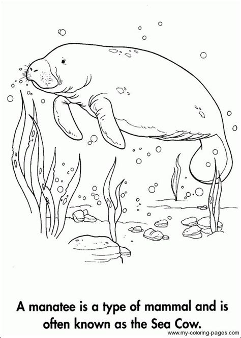 alzheimers coloring pages coloring pages