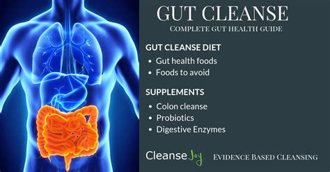 gut cleanse  complete digestive gut health plan