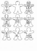 Coloring Body Parts Pages Kids Popular sketch template