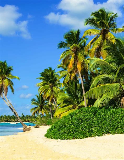 dominican republic travel lonely planet caribbean