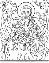 Coloring Francis Assisi Catholic Saints Thecatholickid Clare Acutis Cnt sketch template