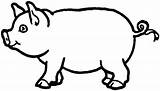 Pig Coloring Pages Choose Board Dessin Farm sketch template