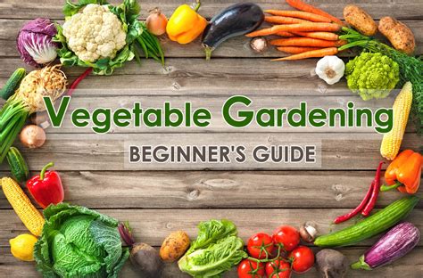 vegetable gardening beginner s guide