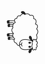 Sheep Mouton sketch template