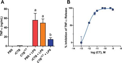 Toxins Free Full Text Cholera Toxin B One Subunit With Many