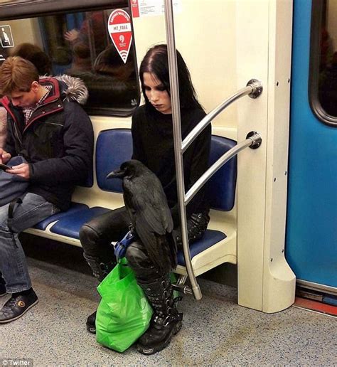 Twitter Loves Image Of Goth With A Raven On Her Knee Daily Mail Online