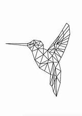 Hummingbird Geometrische Bird Kolibri Oiseau Tekening Zeichnen Kija Origami Geometricos sketch template