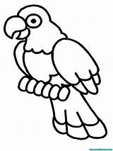 Burung Diwarnai Mewarnai sketch template