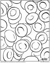 Coloring Pages Nucleus Getcolorings Cell Amusing Human sketch template