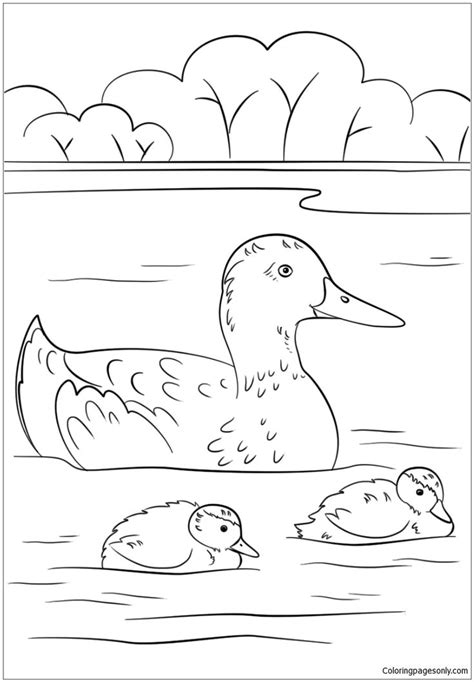 duck  ducklings coloring page coloring pages coloring pages