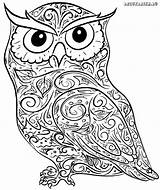 Eulen Eule Dekoking Malvorlagen Tiere Malvorlage Uhu Einfach Drucken Malen Erwachsene Owls Zahlen sketch template