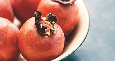 persimmons are north carolina s first frost fruits our state magazine
