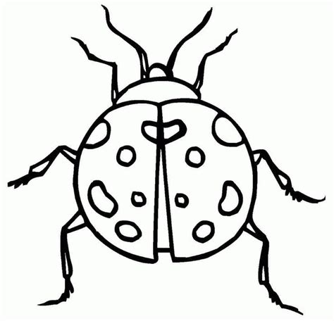 print  amazing coloring page ladybug coloring pages