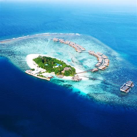 discover   paradise   maldives honeymoon
