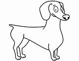Dachshund Haired Long Educativeprintable K5worksheets Supercoloring sketch template