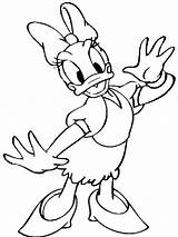 Donald Daisy Duck Pages Coloring Printable Disney sketch template