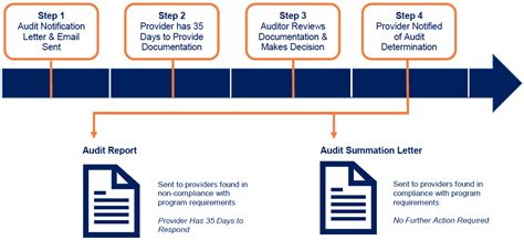 post payment audit guidance