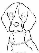 Beagle Cani sketch template