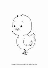Chick Colouring Coloring Pages Easter Baby Printable Chicks Colour Color Little Print Swiss Cute Getcolorings Sheet Switzerland Flag Activityvillage Explore sketch template