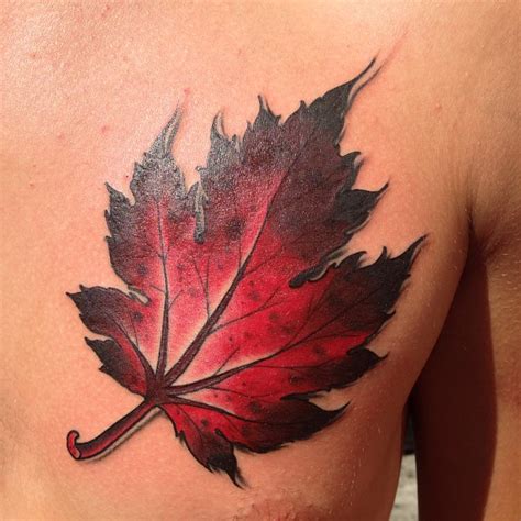 leaf tattoos designs ideas  meaning tattoos