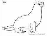 Seal Printable Coloring Pages Animal Templates Firstpalette Print Kids Winter Animals Pre sketch template