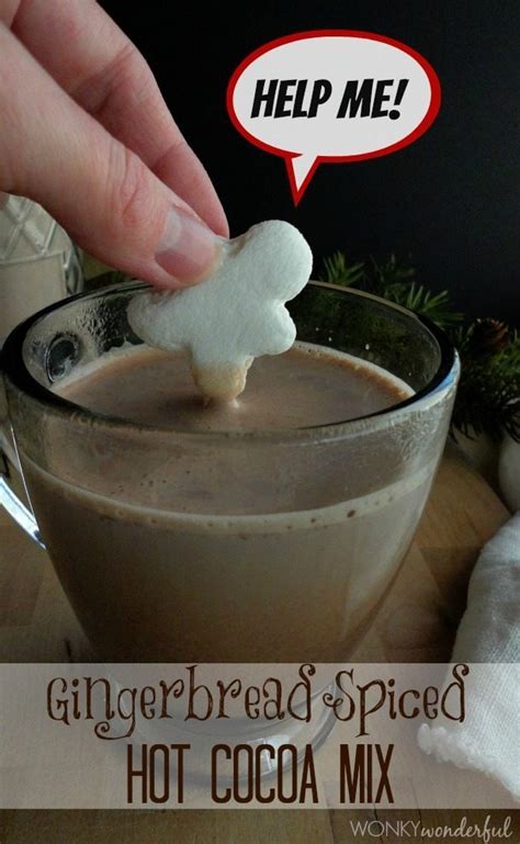 Gingerbread Spiced Hot Cocoa Mix Recipe Wonkywonderful