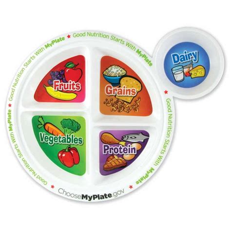 myplate   childs plastic plate noodle soup