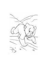 Coloring Brother Bear Pages Running sketch template