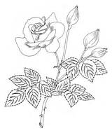Grandiflora Kleurplaat Colorear Roses Kleurplaten Designlooter sketch template