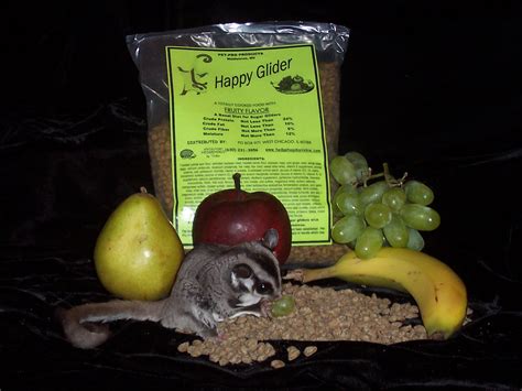 sugar glider food sale pet pro products hedgehogs  vickie