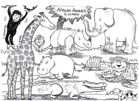 african animal coloring pages printable coloring pages   ages