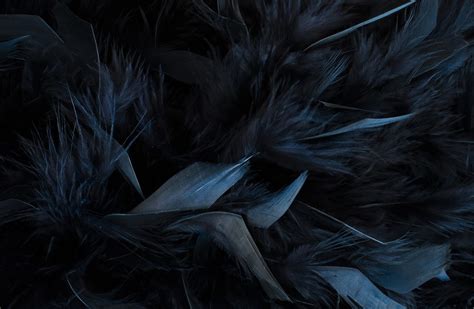 black feathers  wishing moon