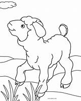 Sheep Coloring Pages Printable Print Kids Cool2bkids Face Color Getcolorings sketch template